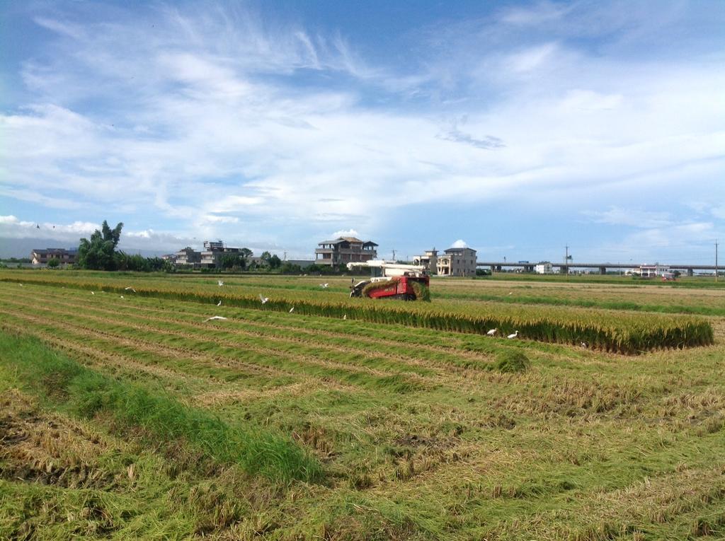 Countryside B&B Zhuangwei Buitenkant foto
